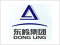 東(dōng)岭集团(tuán)